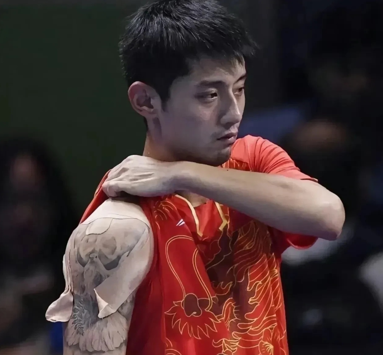 比利时乒乓球队血洗韩国乒乓球队,张继科爆发神勇 比利时乒乓球队血洗韩国乒乓球队,张继科爆发神勇